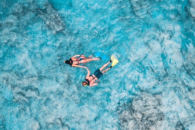 Aruba De Palm Island All-Inclusive Day Trip with Transport - Snorkeling in waist-deep water to 15 feet