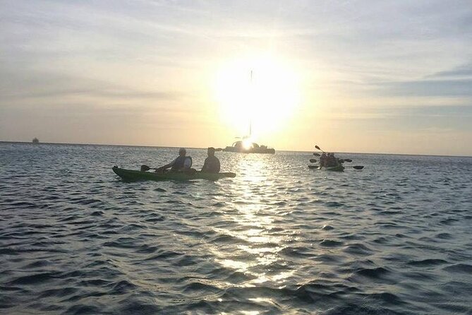 Aruba Glass Bottom Kayak Tour through the Mangrove Forest - Isla di Oro when the sea allows