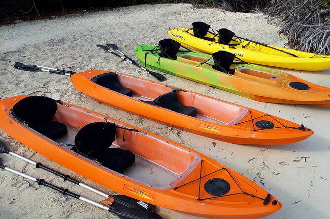 Aruba Glass Bottom Kayak Tour through the Mangrove Forest - Weather and waves are the deciding factor