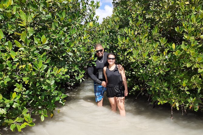 Aruba Glass Bottom Kayak Tour through the Mangrove Forest - Starting at quiet Mangel Halto Beach