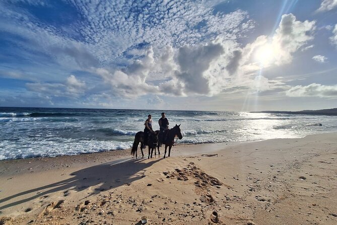 Aruba Horseback Riding Tour For Advanced Riders - What the two-hour route actually feels like