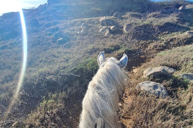 Aruba Horseback Riding Tour For Advanced Riders - Rocky shores, remote beaches, and the coastal payoff