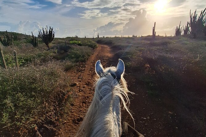 Aruba Horseback Riding Tour For Advanced Riders - Guides who shape the experience