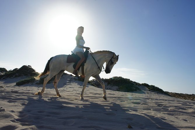 Aruba Horseback Riding Tour For Advanced Riders - Price, pickup, and the real value at $125