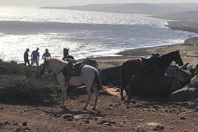 Aruba Horseback Riding Tour For Advanced Riders - Who should book this ride