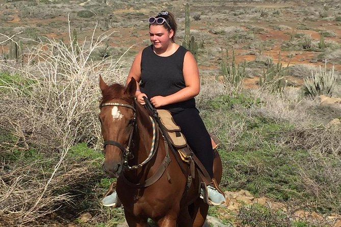 Aruba Horseback Riding Tour For Advanced Riders - Booking details worth handling carefully