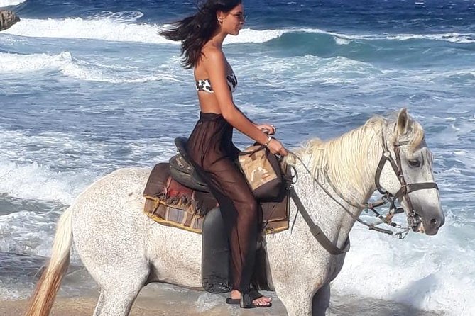 Aruba Horseback Riding Tour For Advanced Riders - English and Western tack for experienced riders