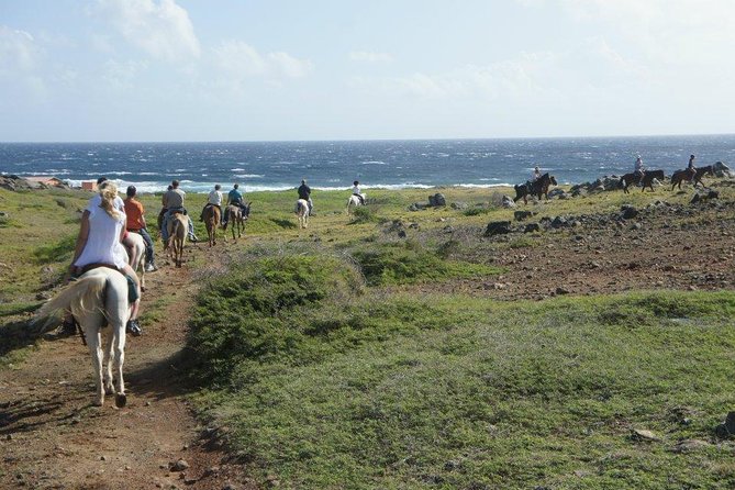 Aruba Horseback Riding Tour to Hidden Lagoon - Rancho Notorious and the first few minutes