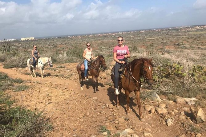 Aruba Horseback Riding Tour to Hidden Lagoon - What to bring and what to expect