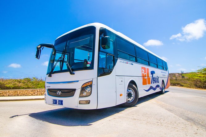 Aruba Island Sightseeing Tour - Pickup is convenient, but cruise passengers need to be precise