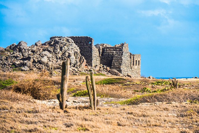 Aruba Island Sightseeing Tour Plus Arashi Beach Visit - Arashi Beach is the part to confirm