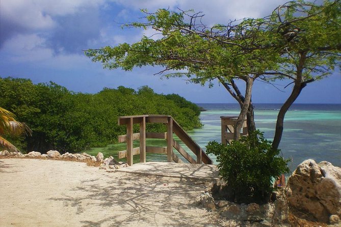 Aruba Mangel Halto and Baby Beach Snorkeling Guided Tour - Mangel Halto: pretty, shallow, and condition-dependent