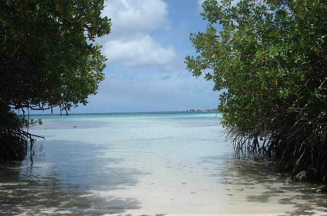 Aruba Mangel Halto and Baby Beach Snorkeling Guided Tour - Baby Beach: the best chance for easy fish viewing