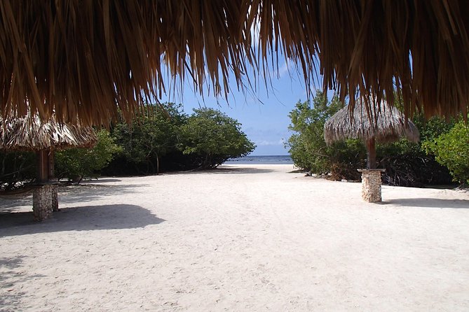 Aruba Mangel Halto and Baby Beach Snorkeling Guided Tour - The timing issue you should take seriously