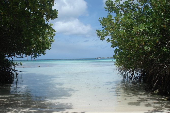 Aruba Mangel Halto and Baby Beach Snorkeling Guided Tour - Snorkel gear, fins, and comfort in the water