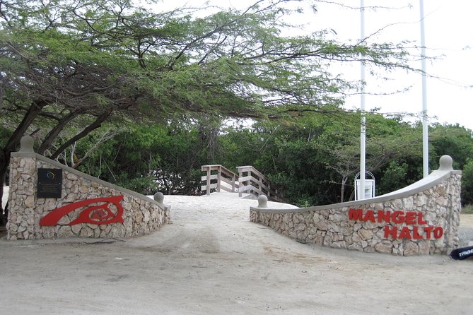 Aruba Mangel Halto and Baby Beach Snorkeling Guided Tour - What the $57 price really buys you