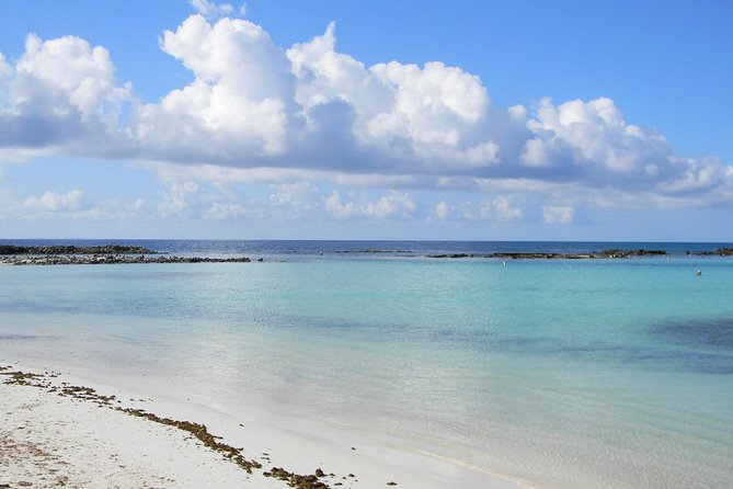 Aruba Mangel Halto and Baby Beach Snorkeling Guided Tour - Riding Aruba in an open-air bus