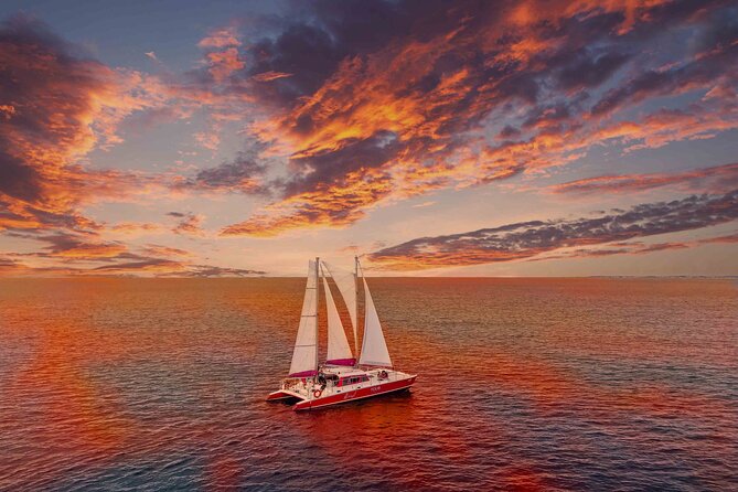 Aruba Morning Snorkeling or Sunset Sail to Boca Catalina With BBQ - Why this catamaran works as an all-in-one Aruba outing