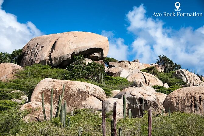 Aruba Natural Wonders Caves and Natural Pool Jeep Tour - Fontein Cave: old drawings and a tiny fish pedicure