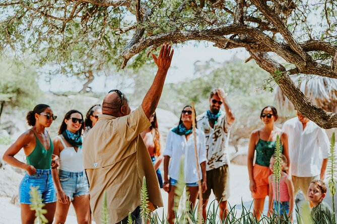 Aruba Natural Wonders Caves and Natural Pool Jeep Tour - The jeep ride: fun for some, hard work for others