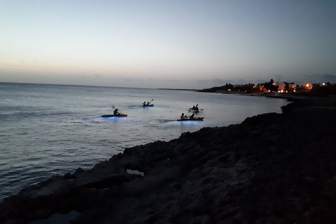 Aruba Night Glass Kayak Tour - Coral, fish, and a shallow shipwreck