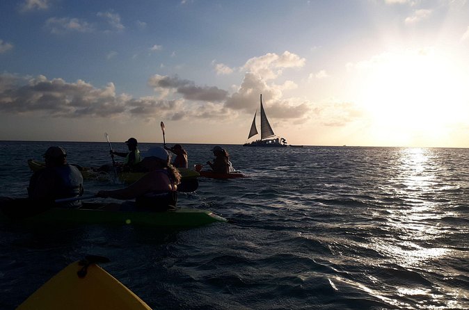 Aruba Night Glass Kayak Tour - What you receive for the $80 price