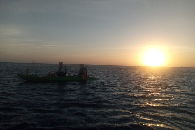 Aruba Night Glass Kayak Tour - Practical ways to enjoy the outing