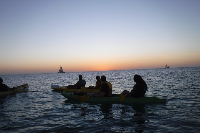 Aruba Night Glass Kayak Tour - The LED kayaks make the night portion different