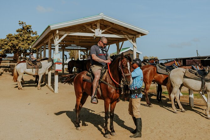 Aruba North Coastline: Small-Group Horseback Riding Tour - Is $100 a fair price?