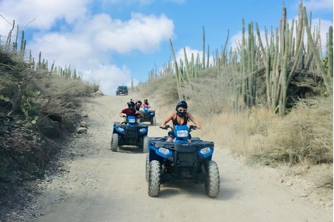 Aruba Off-Road ATV Tour with Cave Pool Swim - Andicuri Beach: sand, sun, and a chance to cool off
