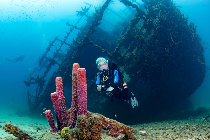 Aruba One or Two Tank Scuba Dive - Reaching Aruba’s offshore wrecks and reefs