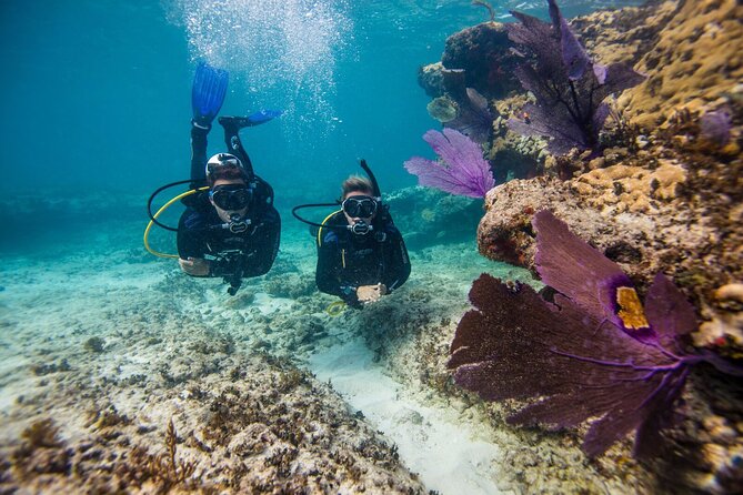 Aruba One or Two Tank Scuba Dive - Antilla and other wreck sites