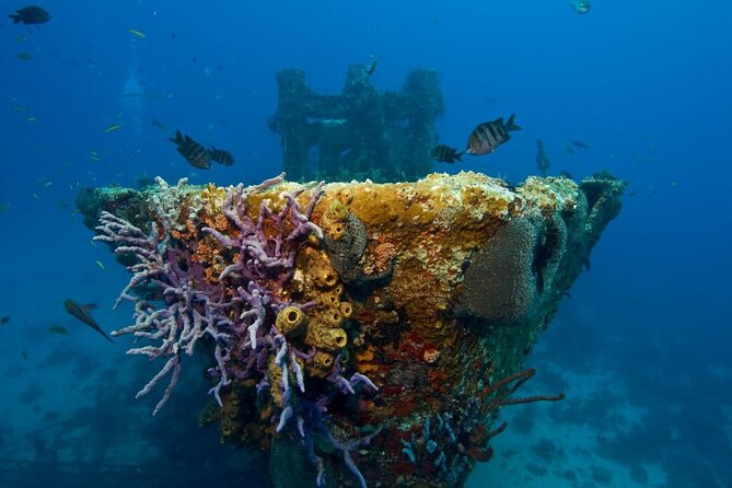 Aruba One or Two Tank Scuba Dive - Red Sail’s guides and boat crew