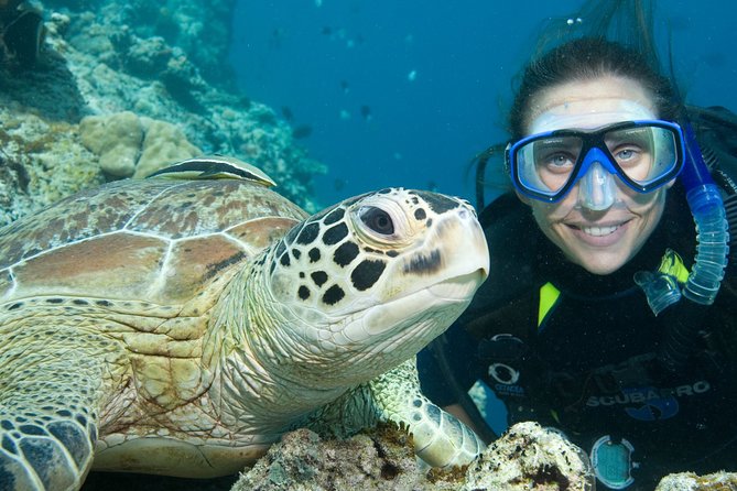 Aruba One or Two Tank Scuba Dive - Equipment, food, and the real cost