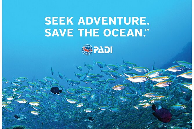 Aruba PADI Scuba Diving Program Non Certified Divers - The value of $99