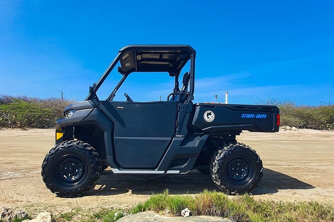 Aruba Rental Explore On Your Own - Mangel Halto and Baby Beach: start with Aruba’s south coast