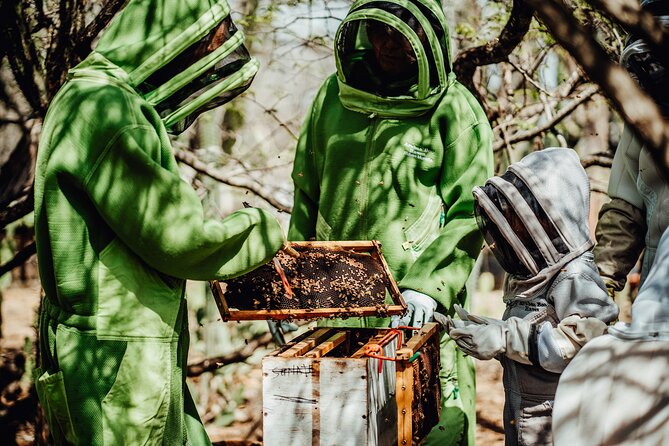 Aruba´s Bee Haven Private Adventure - What the $65 Price Delivers