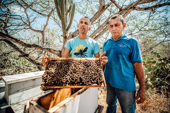 Aruba´s Bee Haven Private Adventure - Putting on the Bee Suit