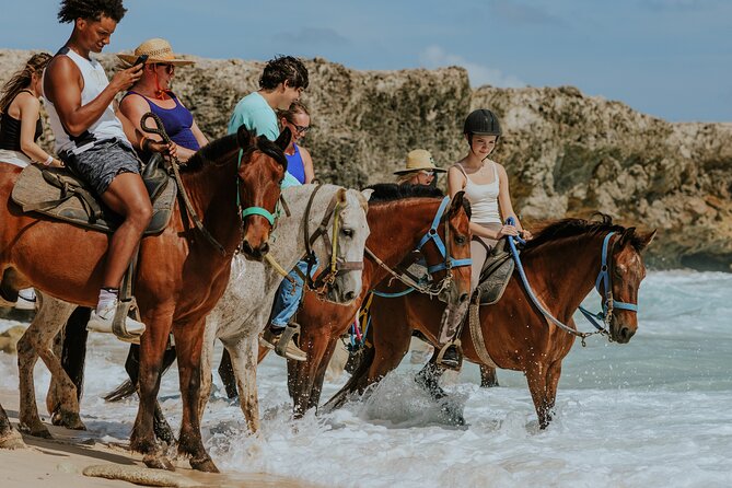 Aruba's Northern Coast Horseback Adventure - Key points to know before booking