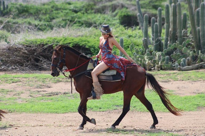 Aruba's Northern Coast Horseback Adventure - Can beginners handle the ride?