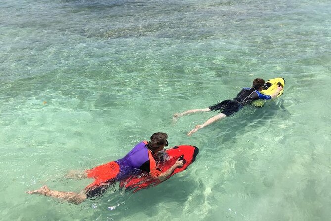 Aruba Seabob Scooter Reef Tour - Marine life you might see