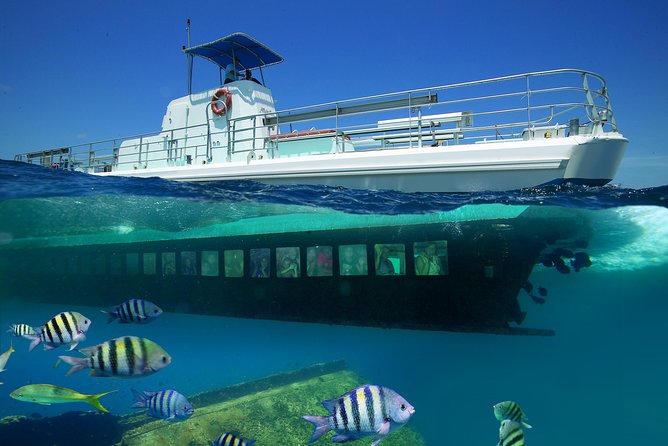 Aruba Semi-Submarine Cruise from Palm Beach - Key points to know before booking