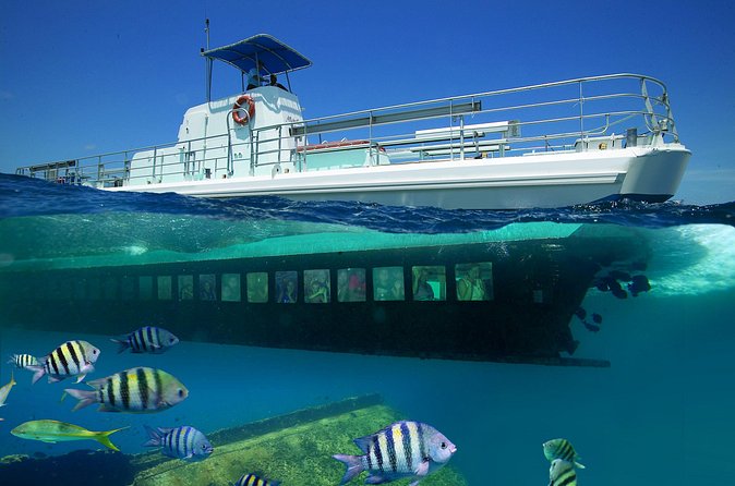 Aruba Semi-Submarine Cruise from Palm Beach - The Antilla: Aruba’s underwater history lesson
