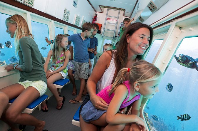 Aruba Semi-Submarine Cruise from Palm Beach - Price, timing, and practical value