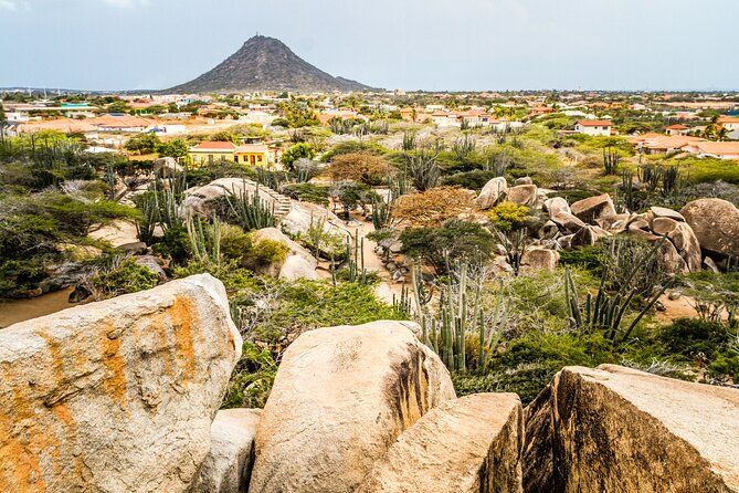 Aruba Sightseeing Tour with Transport - A quick route through Aruba’s many sides
