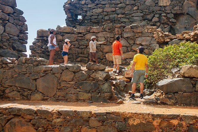 Aruba Sightseeing Tour with Transport - Aruba Aloe connects farming with local industry