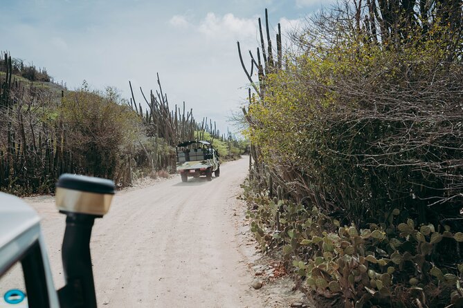 Aruba Signature Jeep Tour: Natural Pool and Baby Beach - Why this 4.5-hour Jeep tour works well in Aruba