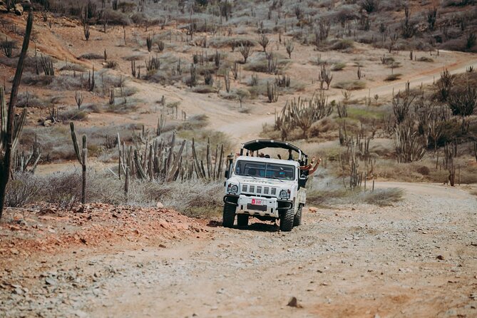 Aruba Signature Jeep Tour: Natural Pool and Baby Beach - Who should book this Aruba excursion