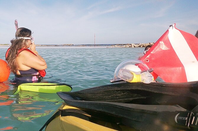 Aruba Snorkeling Tour: Mangel Halto and Baby Beach - What you may see beneath Mangel Halto