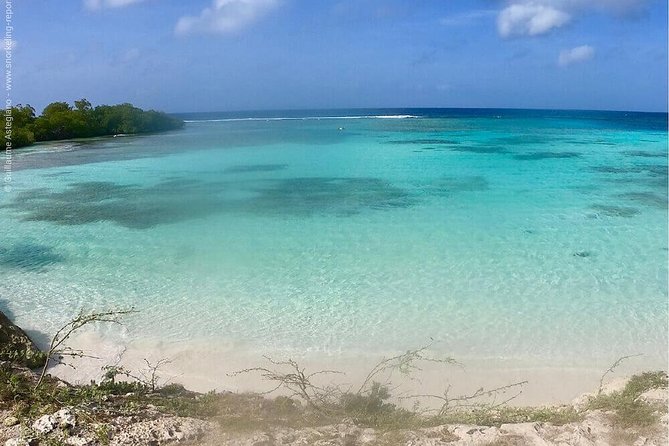 Aruba Snorkeling Tour: Mangel Halto and Baby Beach - Transport, timing, and group size